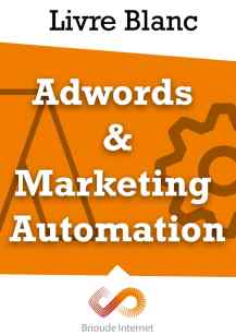 Если вы хотите узнать больше об AdWords, вы можете найти   документ, посвященный Adwords и автоматизации маркетинга   внизу страницы
